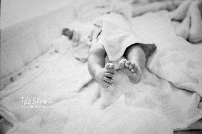 bloomfilm_xp2_15030728